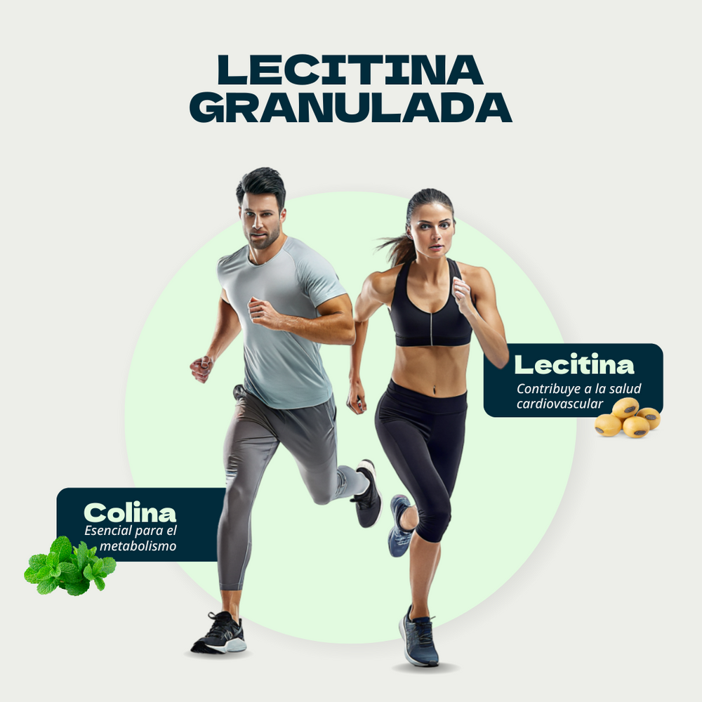 Leciclean- Lecitina en Polvo